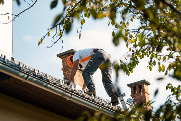 Best Local Roofing Companies  in Mayville, MI