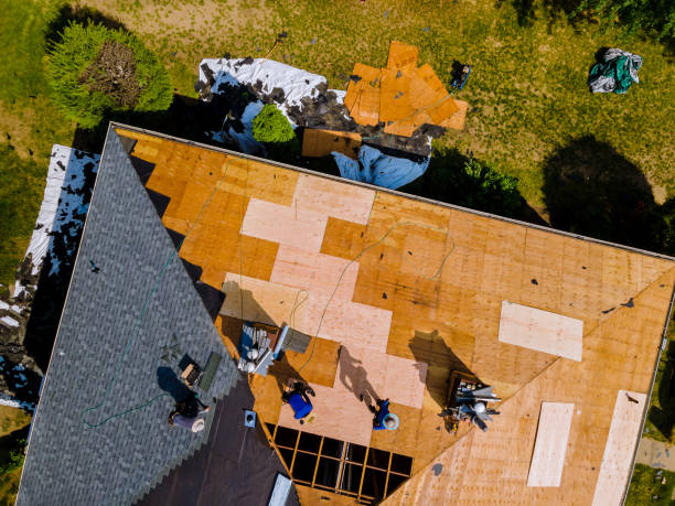 Best Storm Damage Roof Repair  in Mayville, MI