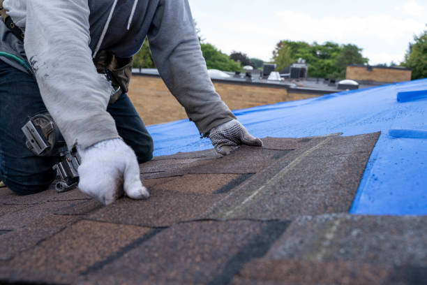 Best Shingle Roofing Installation  in Mayville, MI