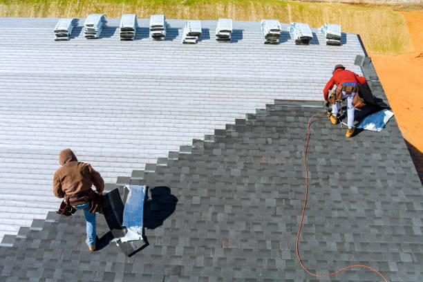 Best Roof Repair Estimates  in Mayville, MI