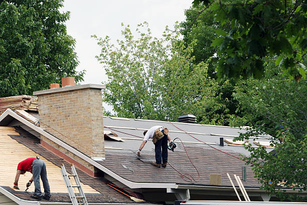 Roof Waterproofing Services in Mayville, MI