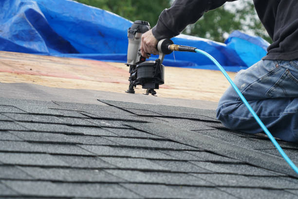 Best Roof Gutter Cleaning  in Mayville, MI