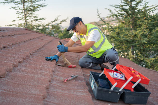 Best Roof Waterproofing Services  in Mayville, MI