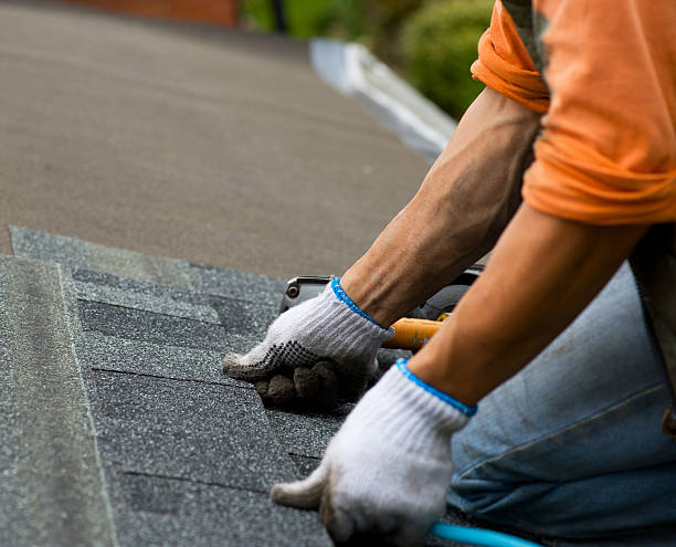 Best Roof Maintenance Services  in Mayville, MI