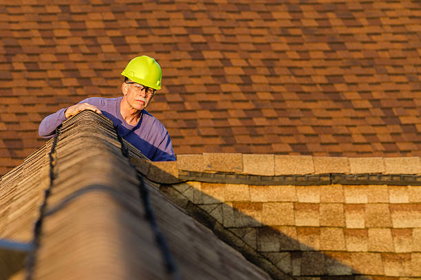 Best Metal Roofing Contractor  in Mayville, MI