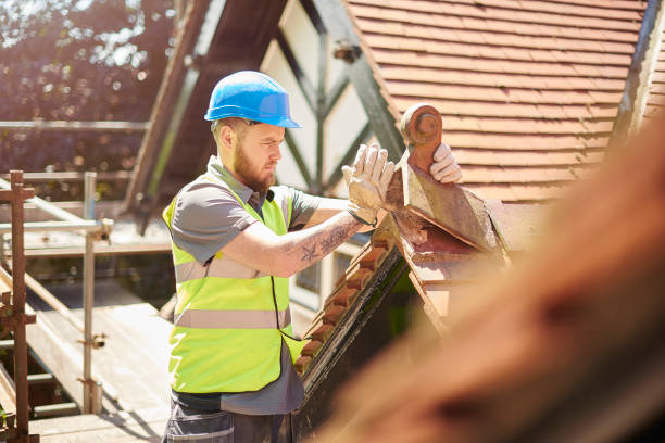 Best Roof Leak Repair  in Mayville, MI