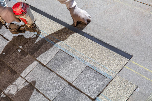 Best Residential Roofing Contractor  in Mayville, MI