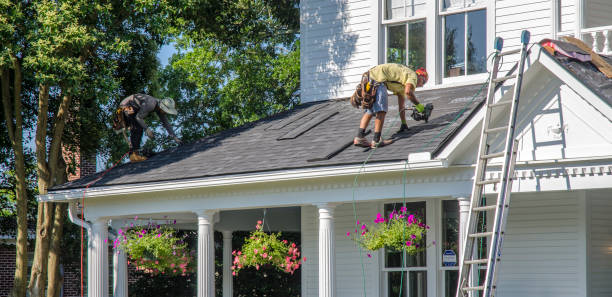 Professional Roofing Contractor in Mayville, MI