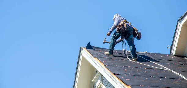 Best Residential Roofing Contractor  in Mayville, MI